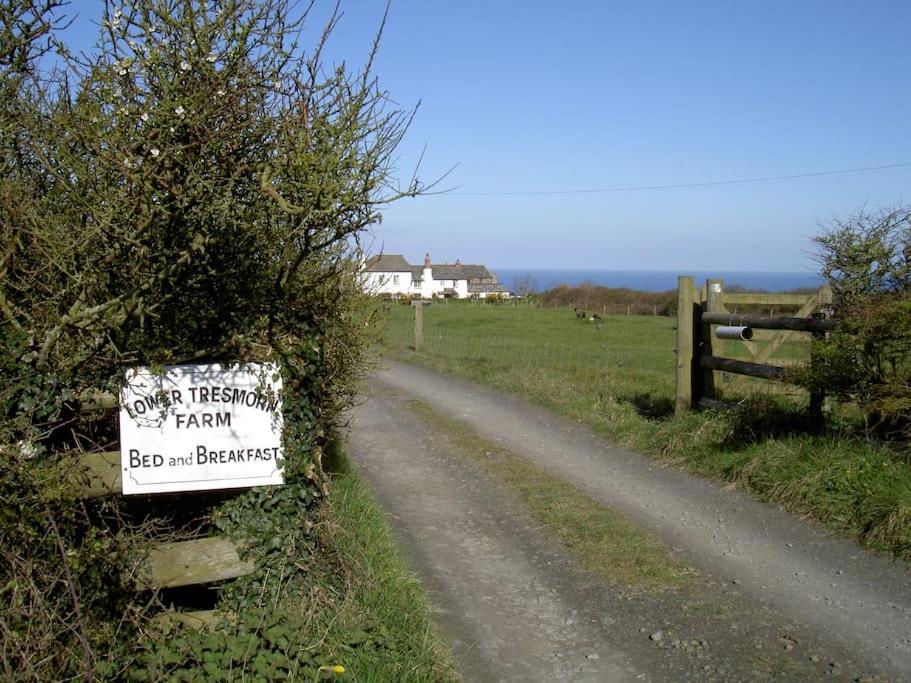 Lower Tresmorn Farmhouse Crackington Haven Ngoại thất bức ảnh