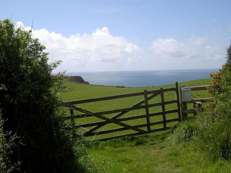 Lower Tresmorn Farmhouse Crackington Haven Ngoại thất bức ảnh